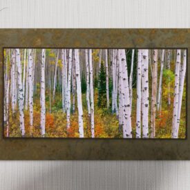 Aspen Trees on slate large 22 inch