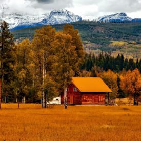 Colorado Home and Cabin Decor