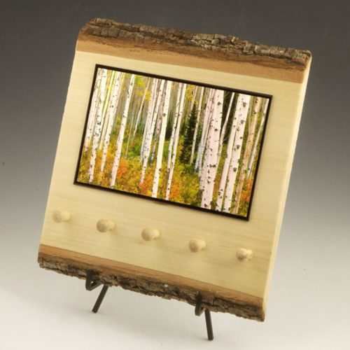 aspen forest key rack