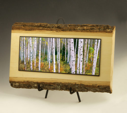 12 inch aspen forest on live edge wood