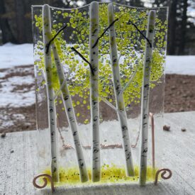 spring aspen trees on glass